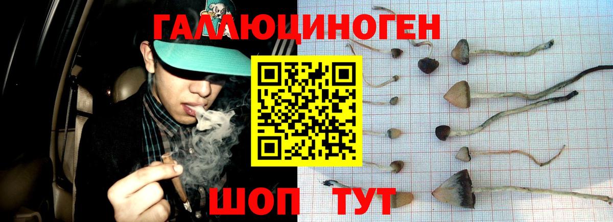 Псилоцибиновые грибы мицелий Южноуральск